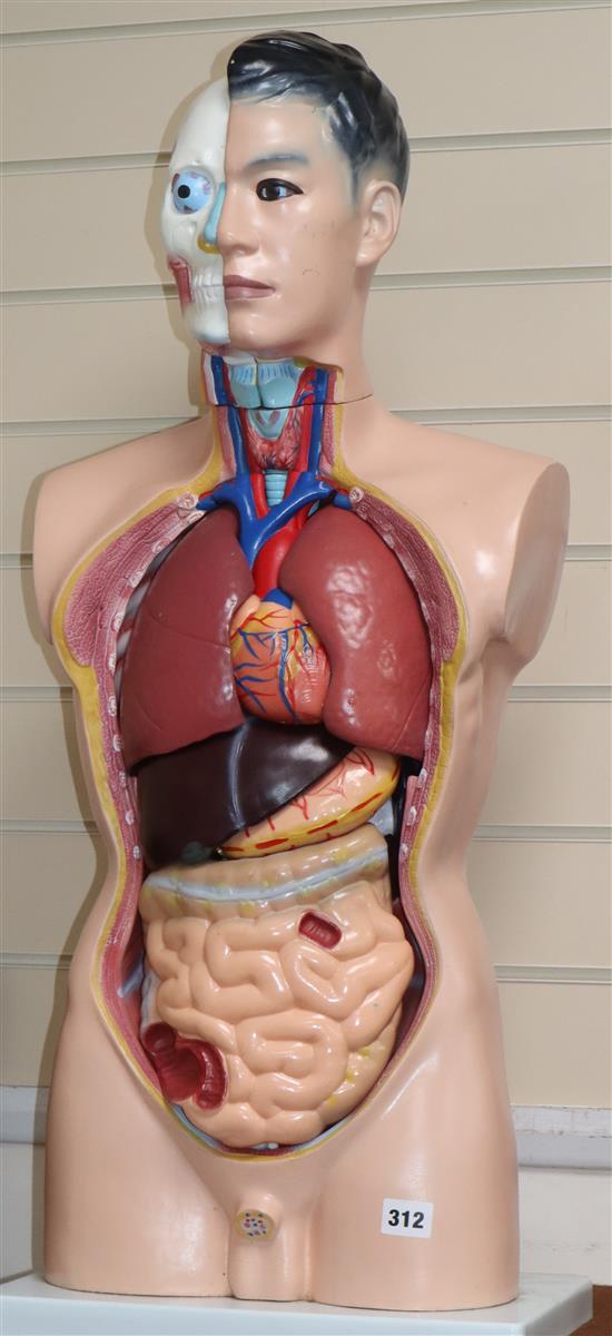 A life size Asian anatomical figure with removable organs